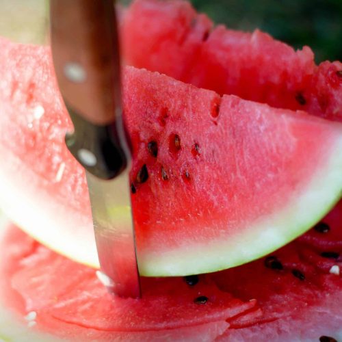 canicule