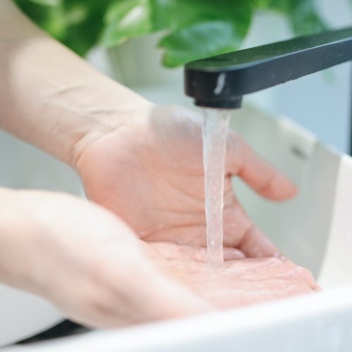 pexels-polina-tankilevitch-3736403